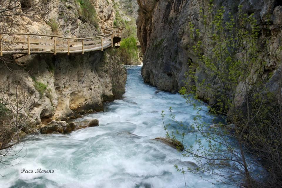 Alojamiento Rural, Cueva De La Abuela Cuevas del Campo エクステリア 写真